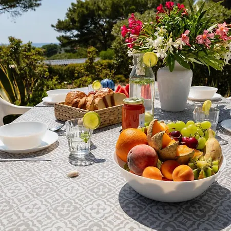 Privat bolig Le Photinia, Mobil-home Climatise Avec Vue Situe Au Coeur Du Domaine Hyères